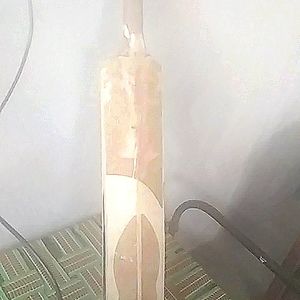 Bat